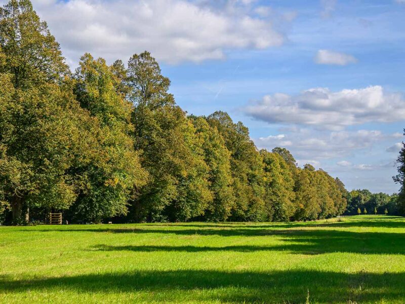 Abbey Barn Park