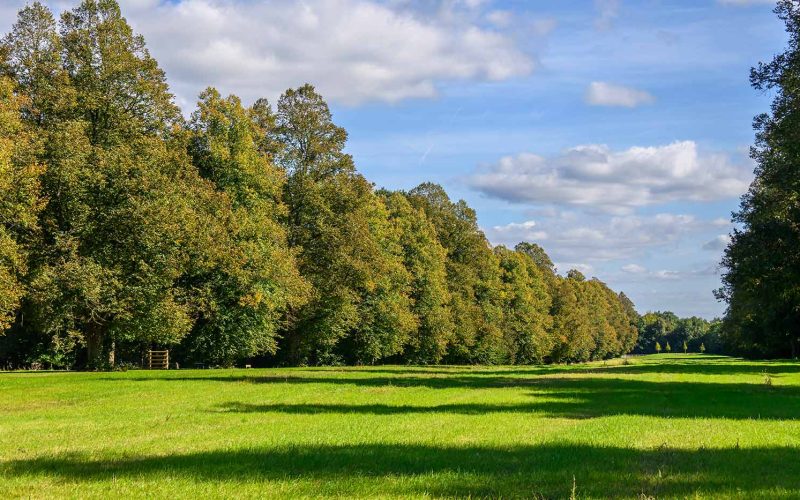 Abbey Barn Park